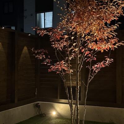 一気に冬。。。